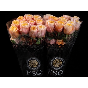 R EQ GR KINGS CROSS*