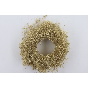 Wr Vlas 30cm Gold