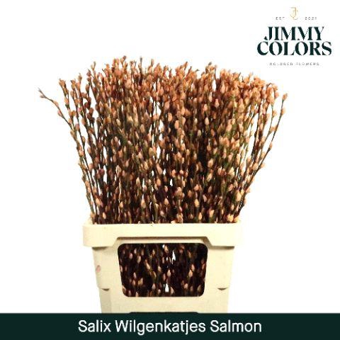 <h4>Salix Katjes L70 Salmon</h4>