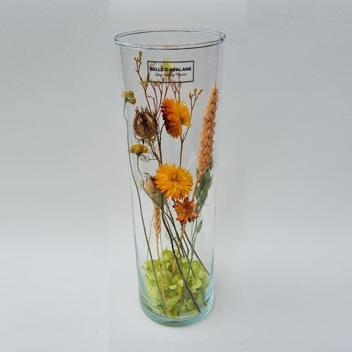 Cilinder d9x30h droog oranje