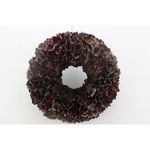 Wr Hydrangea Chocolate 35cm