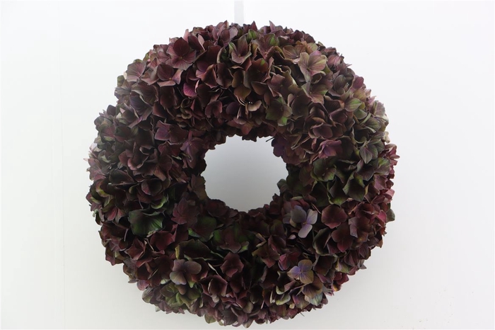 <h4>Wr Hydrangea Chocolate 35cm</h4>