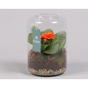 Green Bottle Isabella Small Voorjaar met Primula Acaulis