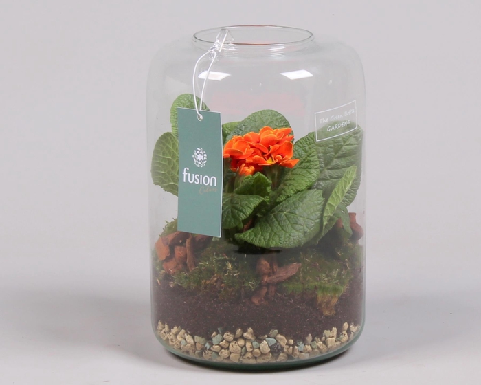 <h4>Green Bottle Isabella Small Voorjaar met Primula Acaulis</h4>