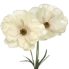 Ranunculus Butterfly Keramos