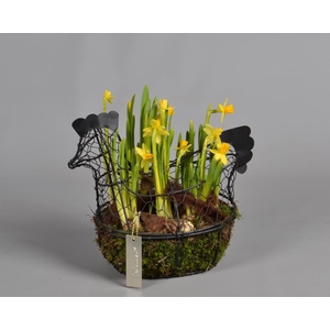 Metaal rek met Narcis Tat