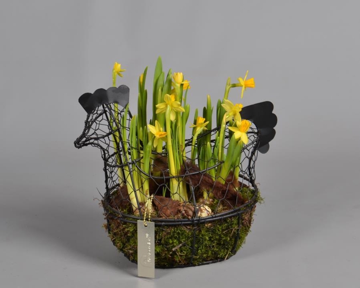 <h4>Metaal rek met Narcis Tat</h4>