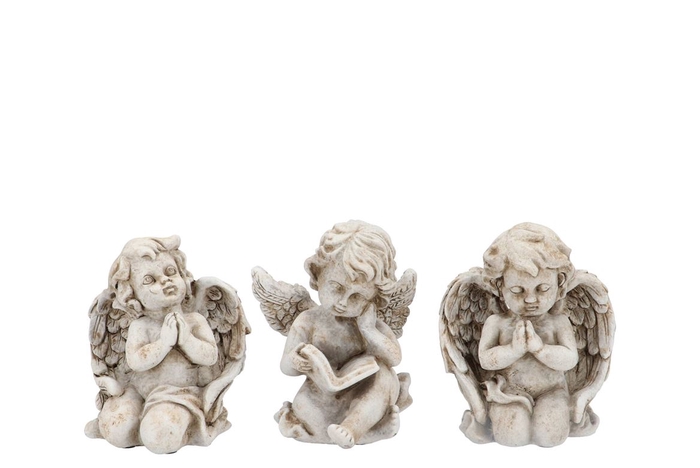<h4>Concrete Angel Praying Ass 13x9x16cm</h4>