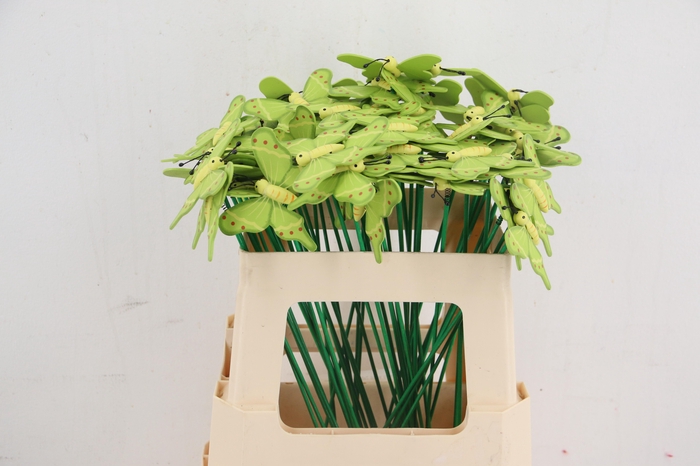 <h4>Stick butterfly wood 7x8cm Green</h4>