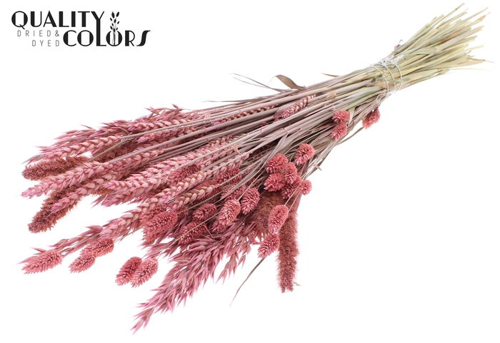 <h4>Dried Flower mix bunch Frosted Pink</h4>