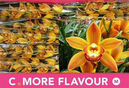 <h4>Cymb Mi Sakura</h4>