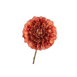 Dahlia Orange Yellow