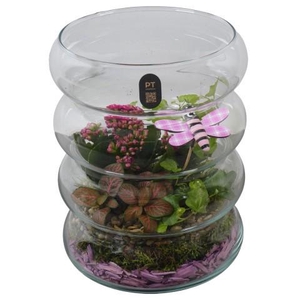 PTIG2673 Arrangement Indoor in glazen vaas