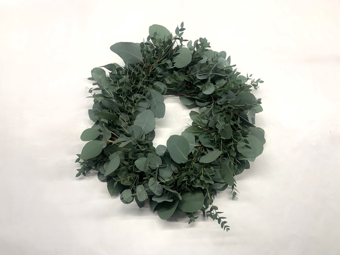 <h4>GARLAND POPULUS+CINEREA+PARVIFOGLIA</h4>