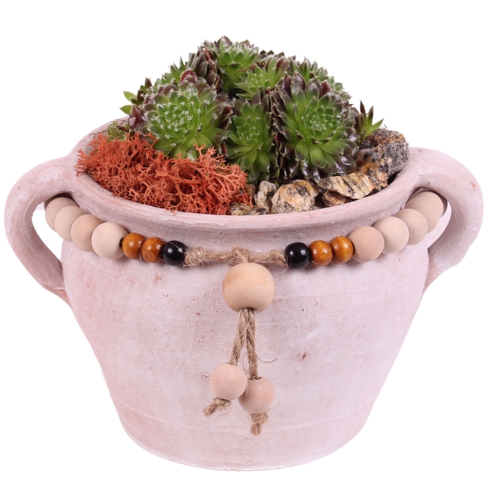 <h4>Opm Semp Arr. Outdoor Ceramic Pot Jug Beads</h4>