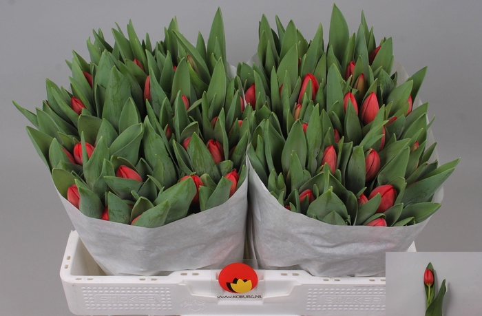 <h4>TU EN HOTSPOT</h4>