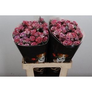 Wax-Rozen Wax Wit  Zilver glitter