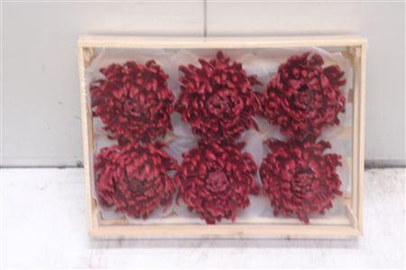 <h4>Wax Bol Chrysant Bordeaux</h4>