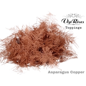 Asp Vip Ov Getopt Lang Koper