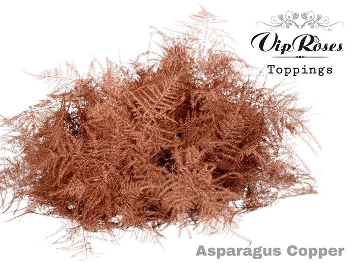 ASP OV EXTRA VEREN KOPER
