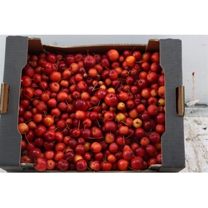 Sier Malusappel Red 5 Kg P Box