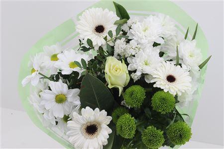 <h4>Boeket Promo Wit</h4>