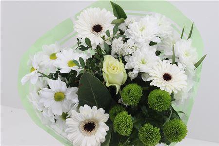 <h4>Boeket Promo Wit</h4>