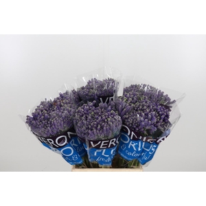 Veron Smart Fountain Spray