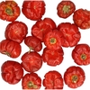 Droogvrucht Pompoen mini 100g