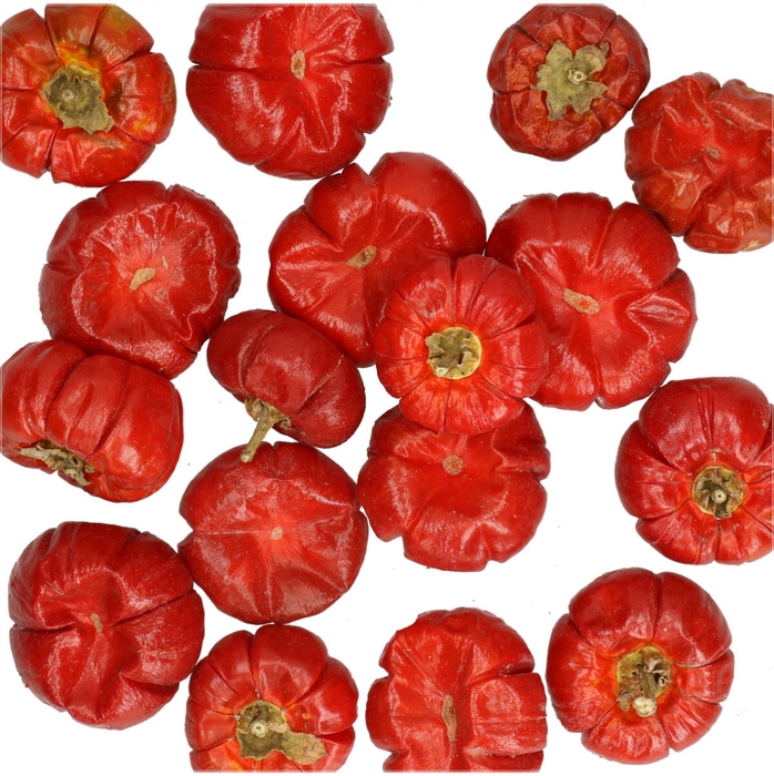 Droogvrucht Pompoen mini 100g