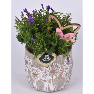 Cement pot bloemdecor 11,5cm