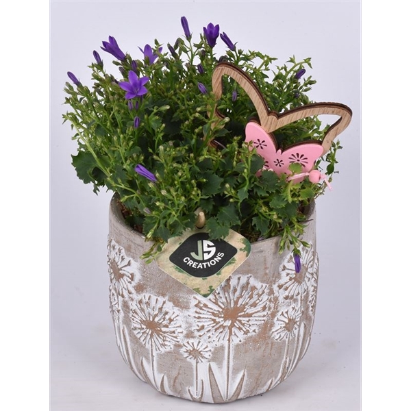 <h4>Cement pot bloemdecor 11,5cm</h4>