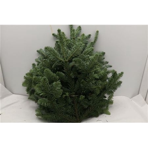 NOBILIS WITBAND 5KG