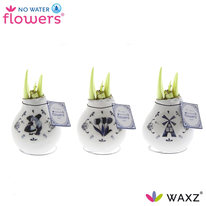 <h4>No Water Flowers® Craftz - Delfts Blue</h4>