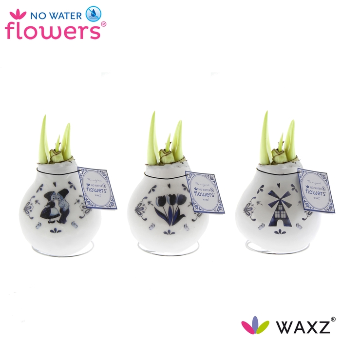 <h4>No Water Flowers® Craftz - Delfts Blue</h4>