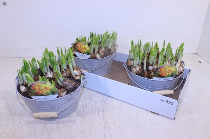 <h4>ARR N TETE A TETE</h4>