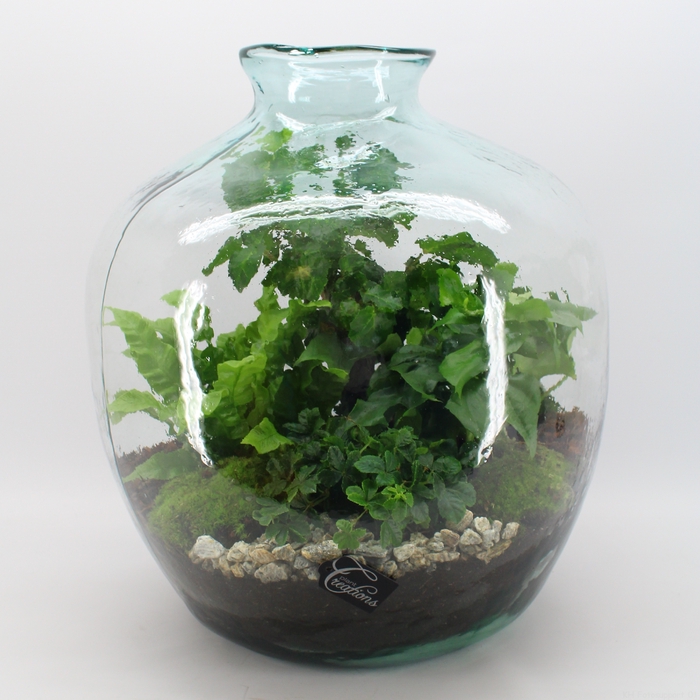 <h4>GRCR-2437 Green Essentials Terrarium</h4>