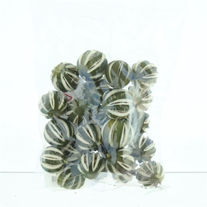 Dried Lemon Green Round In Bag 250gr