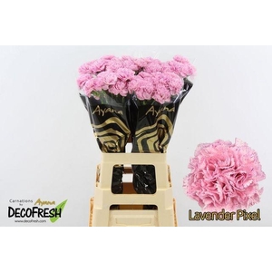 Di St Lavender pixel