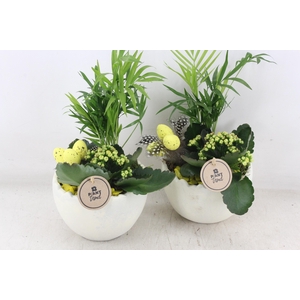 arr2 PL - Ker. kartel ei