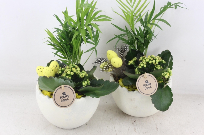 <h4>arr2 PL - Ker. kartel ei</h4>