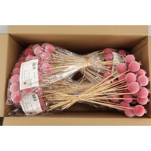Stick Pomegranate Fl. Ø7 Red