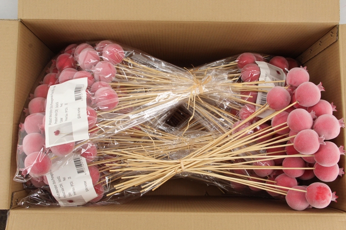 Stick Pomegranate Fl. Ø7 Peach