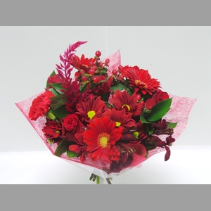 BQ Shorties Red