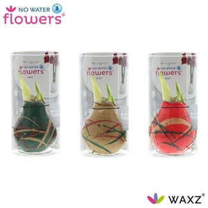 No Water Flowers Waxz® Art Munch in Koker