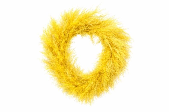 <h4>Wr Lao Grass Yellow D60</h4>