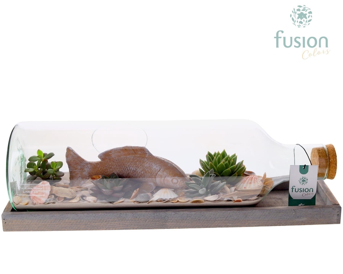 <h4>Green Bottle Fles Large liggend Maritiem met Succulenten</h4>