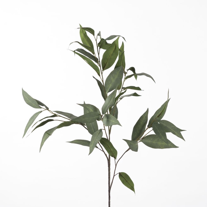 <h4>Af Eucalyptus Sp L104cm Green</h4>