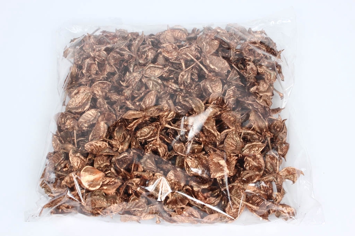 <h4>Cotton pods 250gr in poly copper</h4>