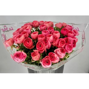 Ranunculus Clooney Fragolino Super